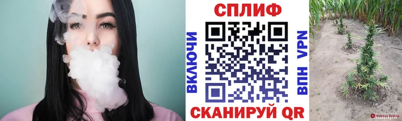Конопля MAZAR Пыталово